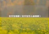 支付宝锦鲤（支付宝怎么抽锦鲤）