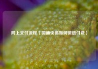 网上支付流程（圆通快递如何微信付费）