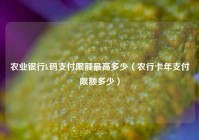 农业银行k码支付限额最高多少（农行卡年支付限额多少）