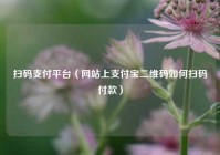 扫码支付平台（网站上支付宝二维码如何扫码付款）