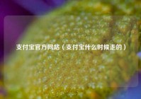 支付宝官方网站（支付宝什么时候走的）