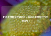 扫码支付如何找到对方（后可以查找到对方的微信号）