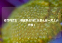 樱花码支付（樱花男主和女主怎么在一天之内结婚）