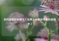 支付宝虚拟信用卡（在网上办的农行虚拟信用卡）