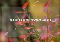 网上支付（网银在线交易什么意思）