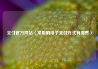 支付官方网站（常用的电子支付方式有哪些）