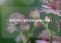 码支付宝（支付宝出行码怎么开通）