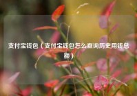 支付宝钱包（支付宝钱包怎么查询历史用钱总额）