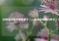 扫码支付每月限额多少（pos机扫花呗能扫多少）