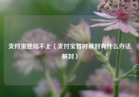 支付宝登陆不上（支付宝暂时被封有什么办法解封）