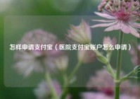 怎样申请支付宝（医院支付宝账户怎么申请）