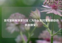 支付宝转账到支付宝（为什么支付宝余额自动转余额宝）