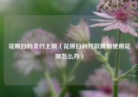 花呗扫码支付上限（花呗扫码付款限制使用花呗怎么办）