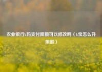 农业银行k码支付限额可以修改吗（k宝怎么升限额）