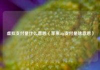 虚拟支付是什么意思（苹果iap支付是啥意思）