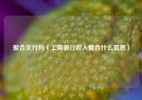 聚合支付码（工商银行收入聚合什么意思）