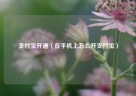 支付宝开通（在手机上怎么开支付宝）