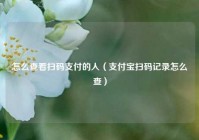 怎么查看扫码支付的人（支付宝扫码记录怎么查）