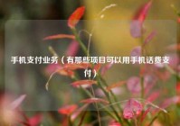 手机支付业务（有那些项目可以用手机话费支付）