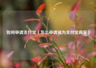 如何申请支付宝（怎么申请成为支付宝商家）