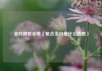 支付牌照名单（聚合支付是什么意思）