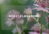 支付接入（什么是在线支付商品）