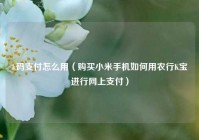 k码支付怎么用（购买小米手机如何用农行K宝进行网上支付）