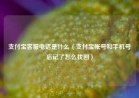 支付宝客服电话是什么（支付宝帐号和手机号忘记了怎么找回）