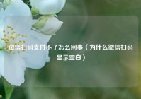 微信扫码支付不了怎么回事（为什么微信扫码显示空白）