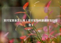 支付宝赏金怎么用（支付宝如何邀请好友扫红包）