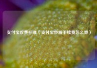 支付宝收费标准（支付宝炒股手续费怎么算）