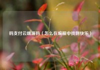 码支付云端源码（怎么在编程中找到快乐）