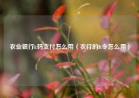 农业银行k码支付怎么用（农行的K令怎么用）