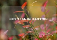 手机支付（医保卡可以手机支付吗）