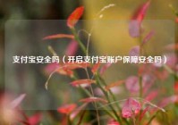 支付宝安全吗（开启支付宝账户保障安全吗）