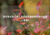 支付宝卡怎么用（支付宝实体店银行卡红包怎么使用）