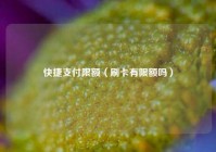 快捷支付限额（刷卡有限额吗）