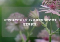 支付宝提现时间（今日头条提现显示成功但支付宝未收到）