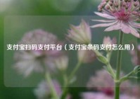 支付宝扫码支付平台（支付宝条码支付怎么用）