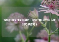 微信扫码支付页面图片（微信扫码支付怎么查对方微信号）