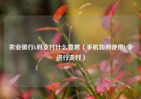 农业银行k码支付什么意思（手机如何使用k令进行支付）