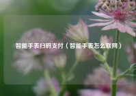 智能手表扫码支付（智能手表怎么联网）