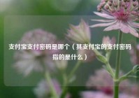 支付宝支付密码是哪个（其支付宝的支付密码指的是什么）