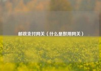 邮政支付网关（什么是默用网关）