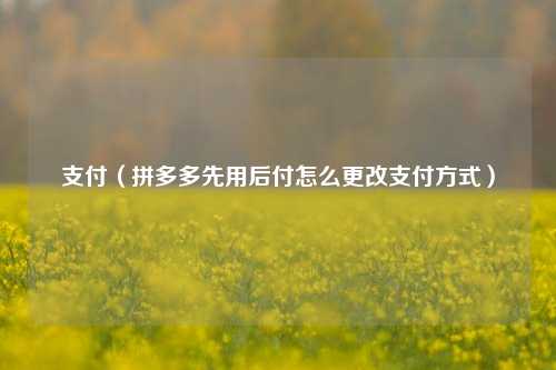 支付（拼多多先用后付怎么更改支付方式）