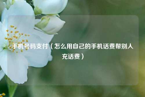 手机号码支付（怎么用自己的手机话费帮别人充话费）