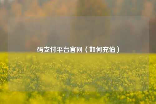 码支付平台官网（如何充值）