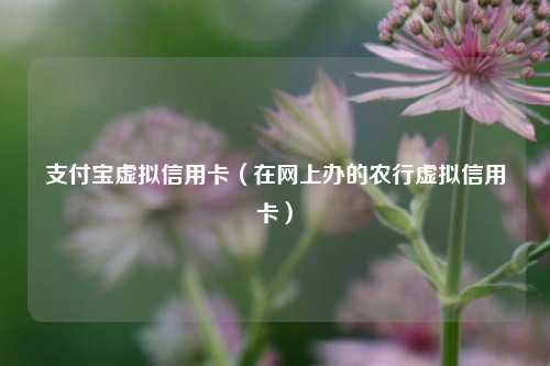 支付宝虚拟信用卡（在网上办的农行虚拟信用卡）