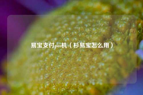 易宝支付pos机（杉易宝怎么用）