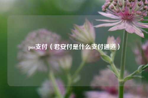 pos支付（君安付是什么支付通道）